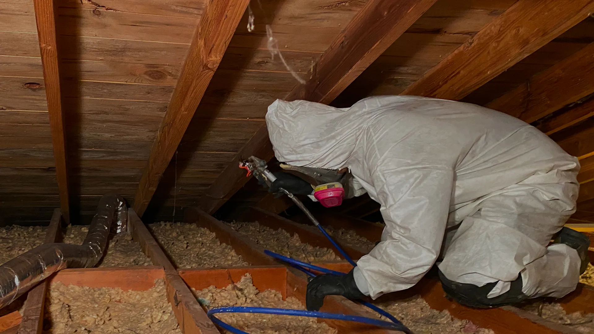 Attic Pest Control Service in Chicago