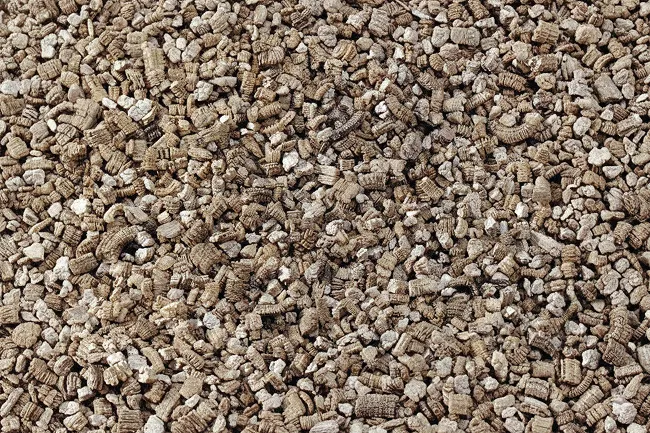 Close-up of loose vermiculite insulation granules that may contain asbestos