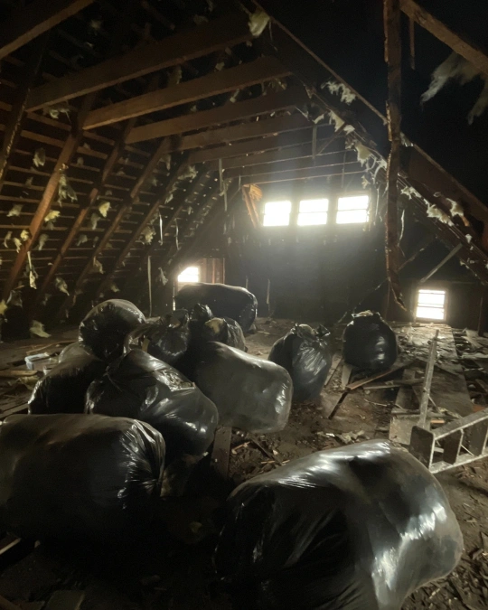 Bags of removed insulation and debris left on the floor of an attic with old material still clinging to the rafters
