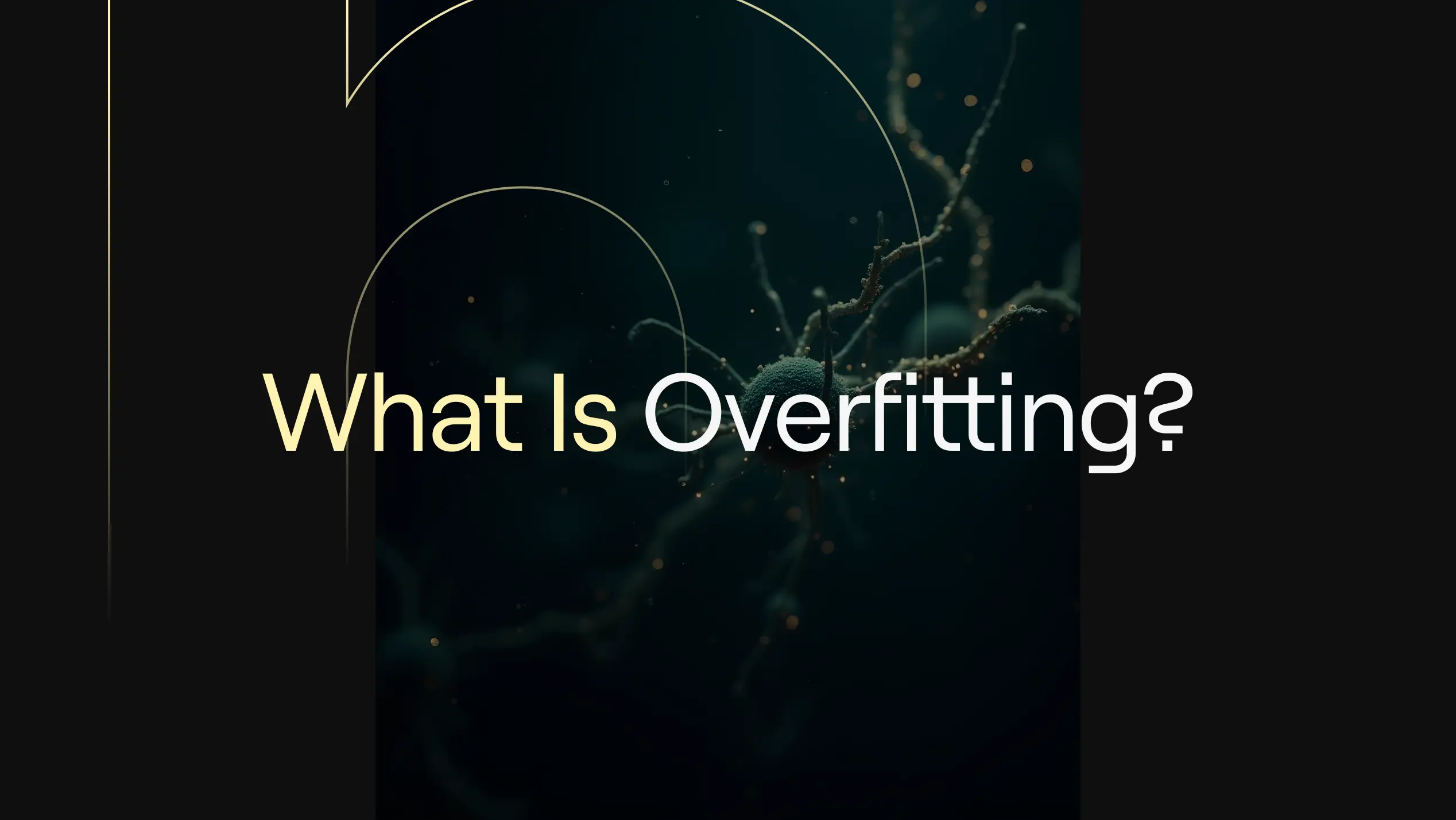 What Is Overfitting?’ on a black cover with gold arcs and a fuzzy neuron-style graphic.
