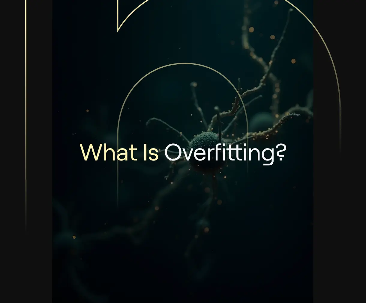 What Is Overfitting?’ on a black cover with gold arcs and a fuzzy neuron-style graphic.