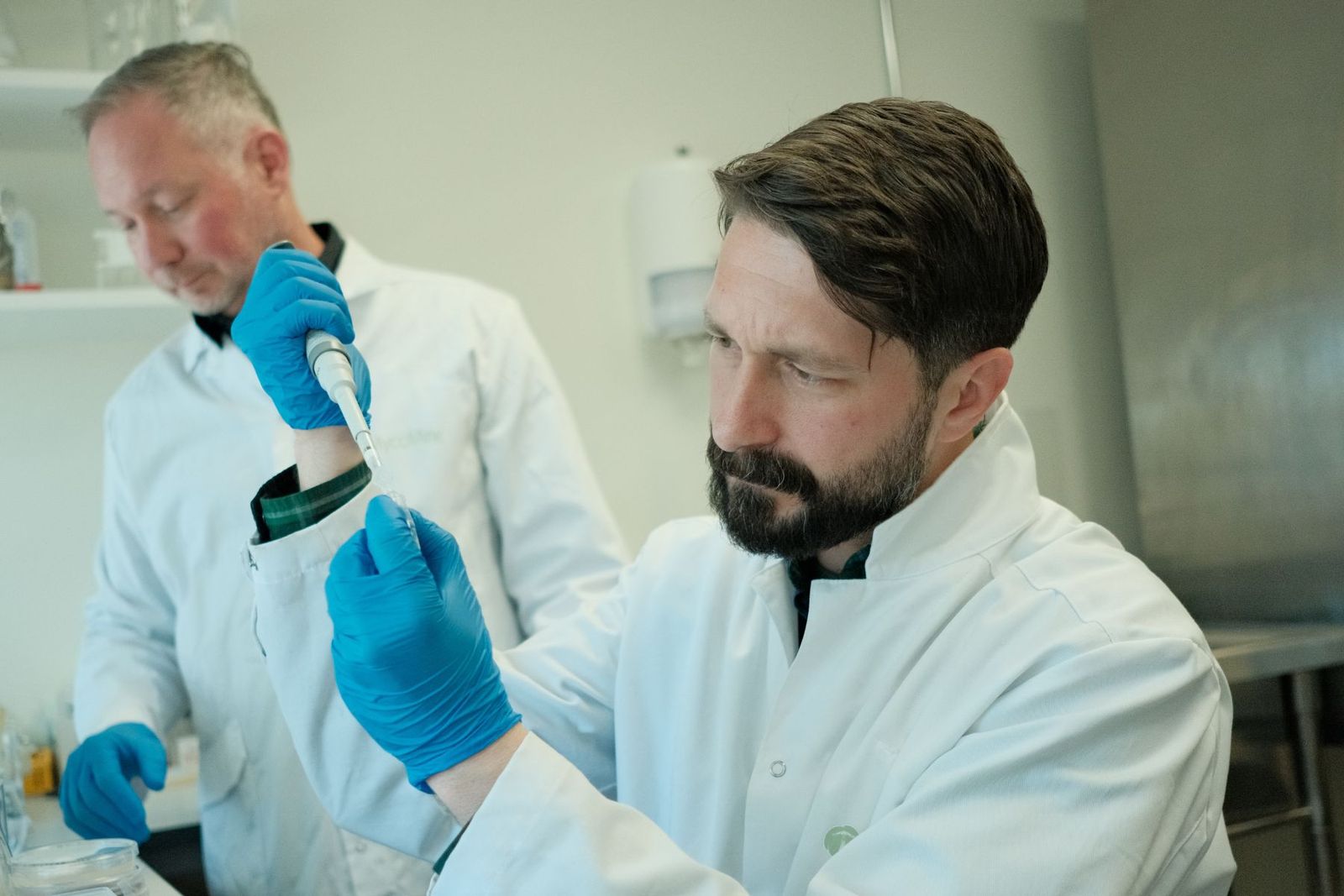 Magnus Ivarsson och Kristoffer Palmgren, Mycomine