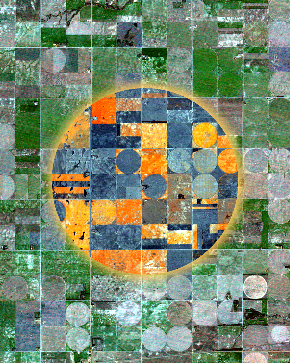 Hyperspectral satellite imagery showing canopy and mineral composition analysis