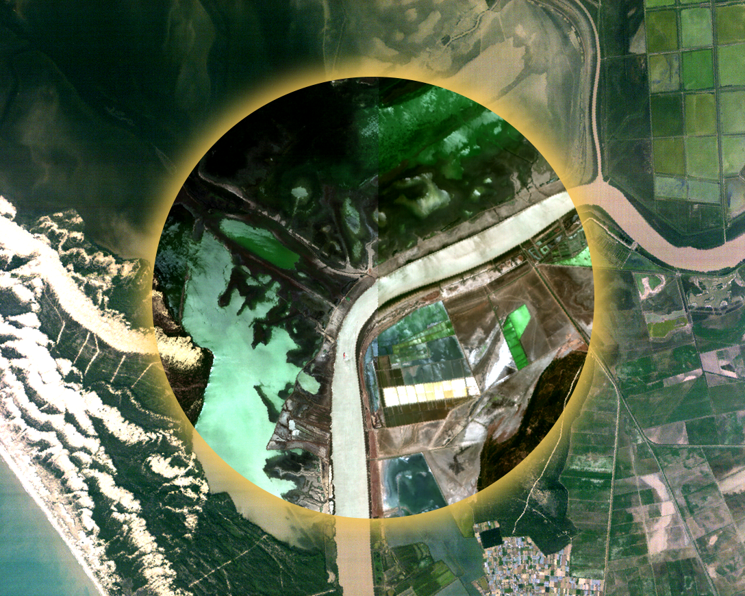 Satellite image of coastal wetland for water quality and aquatic ecosystem monitoring