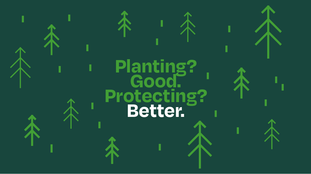 Why protecting ecosystems matters more than simply planting trees