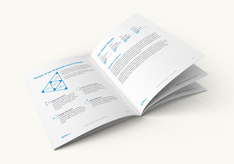 Ascent Assessment Final Report printed book