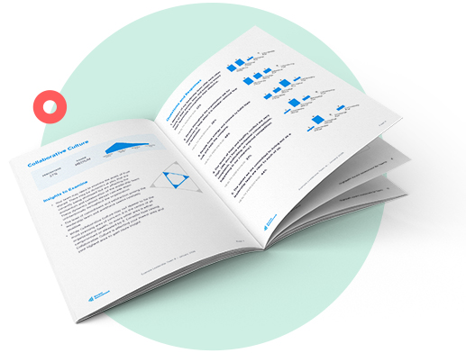 Ascent Assessment Final Report printed book