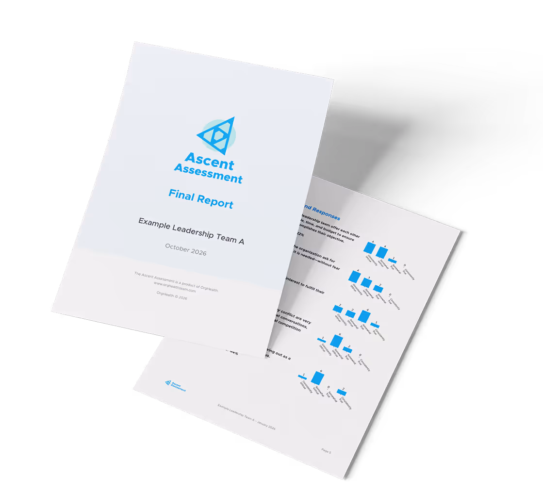 Ascent Assessment final report sample