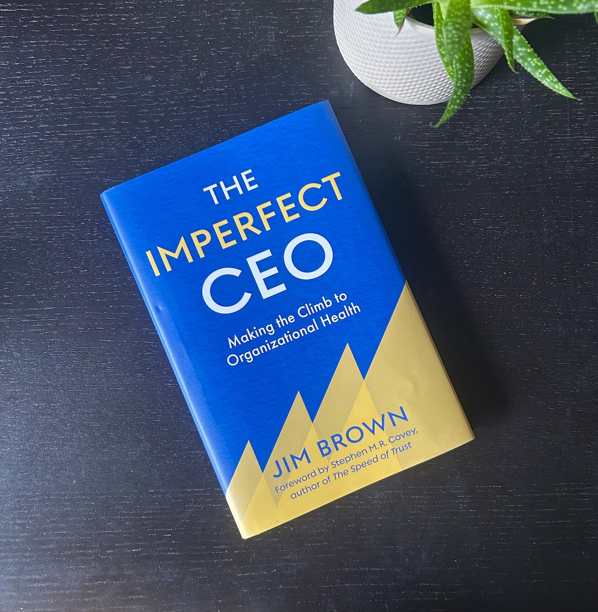 The Imperfect CEO book by Jim Brown on a black desk