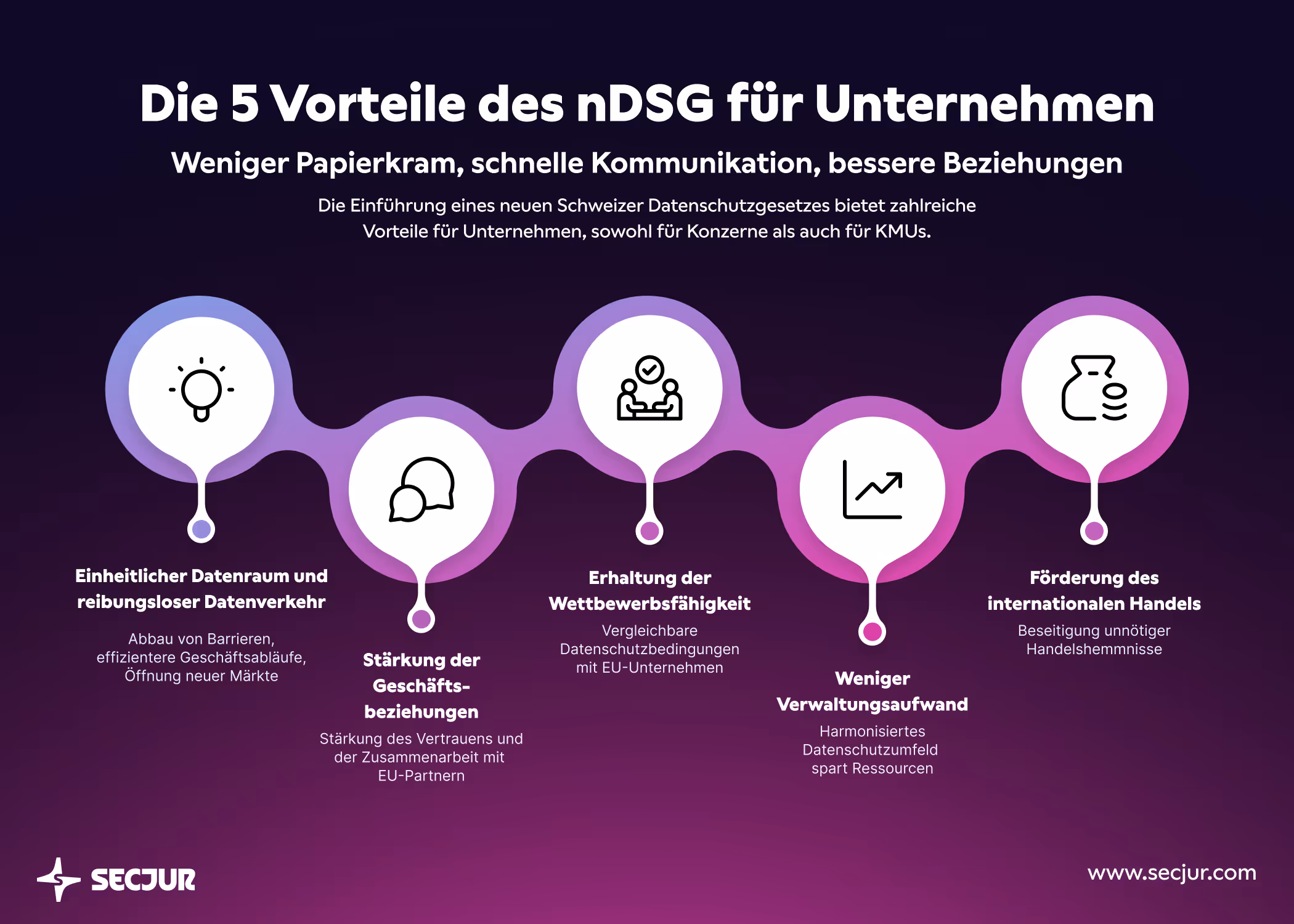 Die fünf Vorteile des nDSG für Unternehmen in einer Grafik mit 5 Icons.