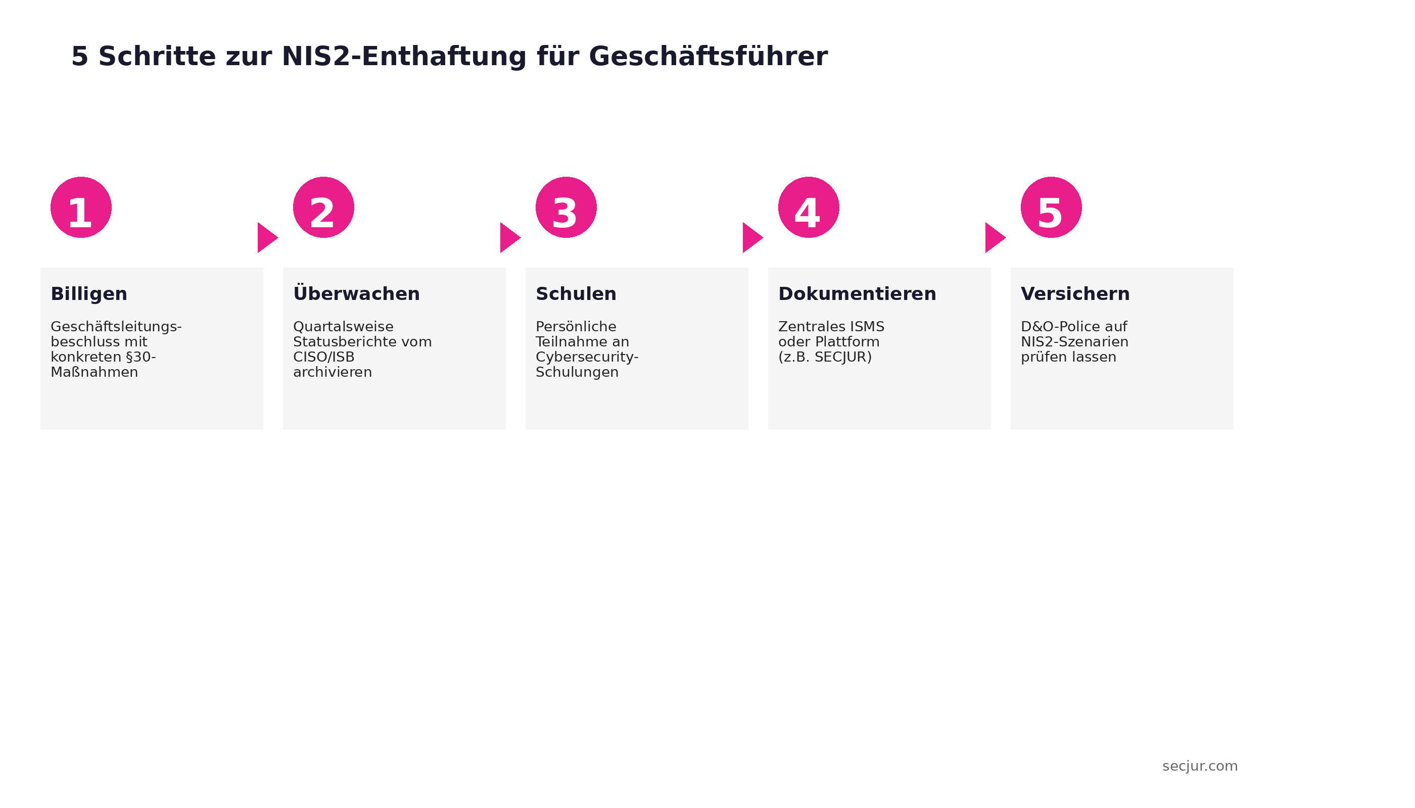 5 Schritte zur NIS2-Enthaftung für Geschäftsführer: Von Risikomanagement bis D&O-Prüfung