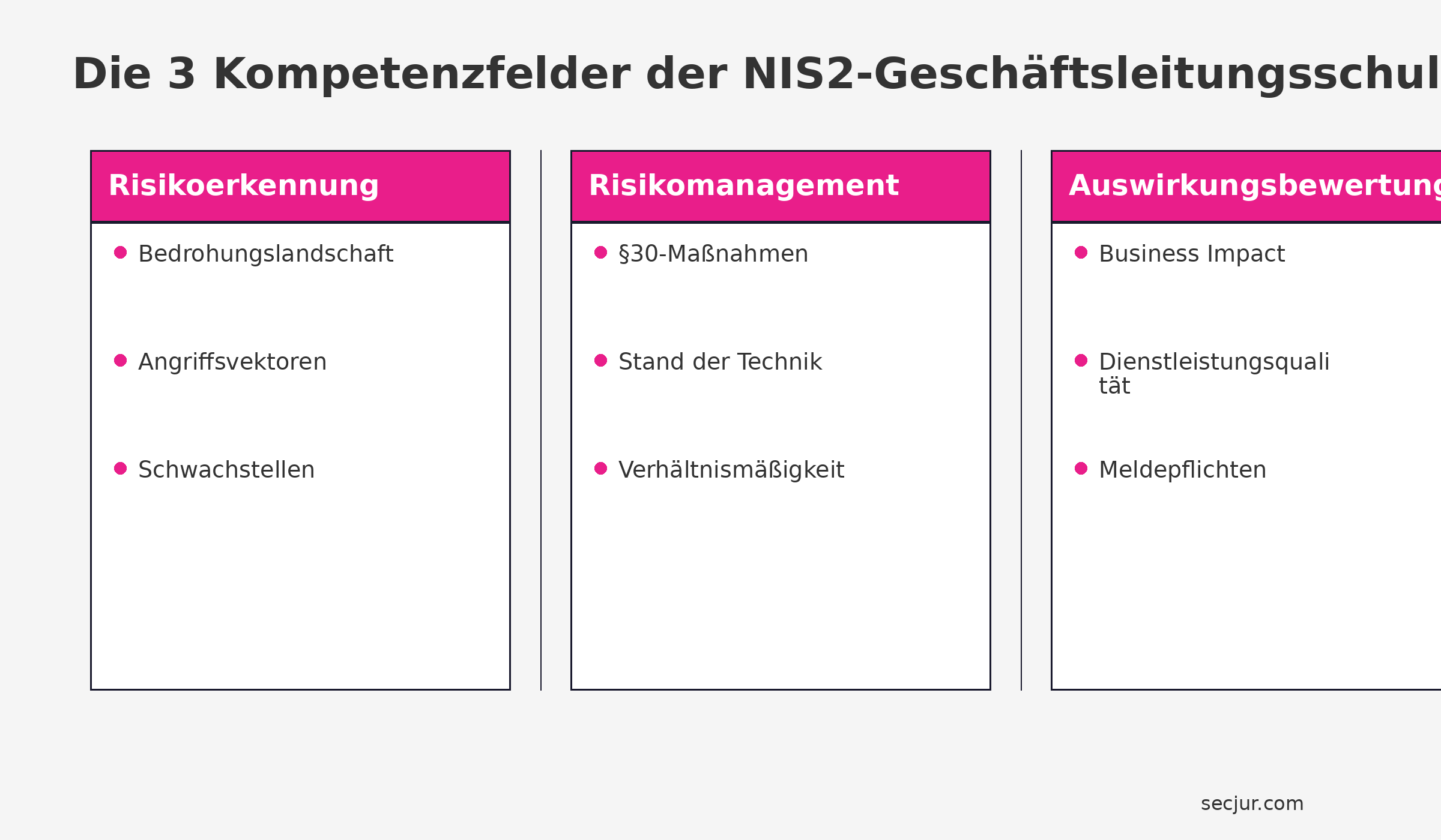 Die drei Kompetenzfelder der NIS2-Geschäftsleitungsschulung nach BSI-Handreichung: Risikoerkennung, Risikomanagement und Auswirkungsbewertung