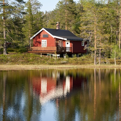 Essential Guide to Cabin Home Plans