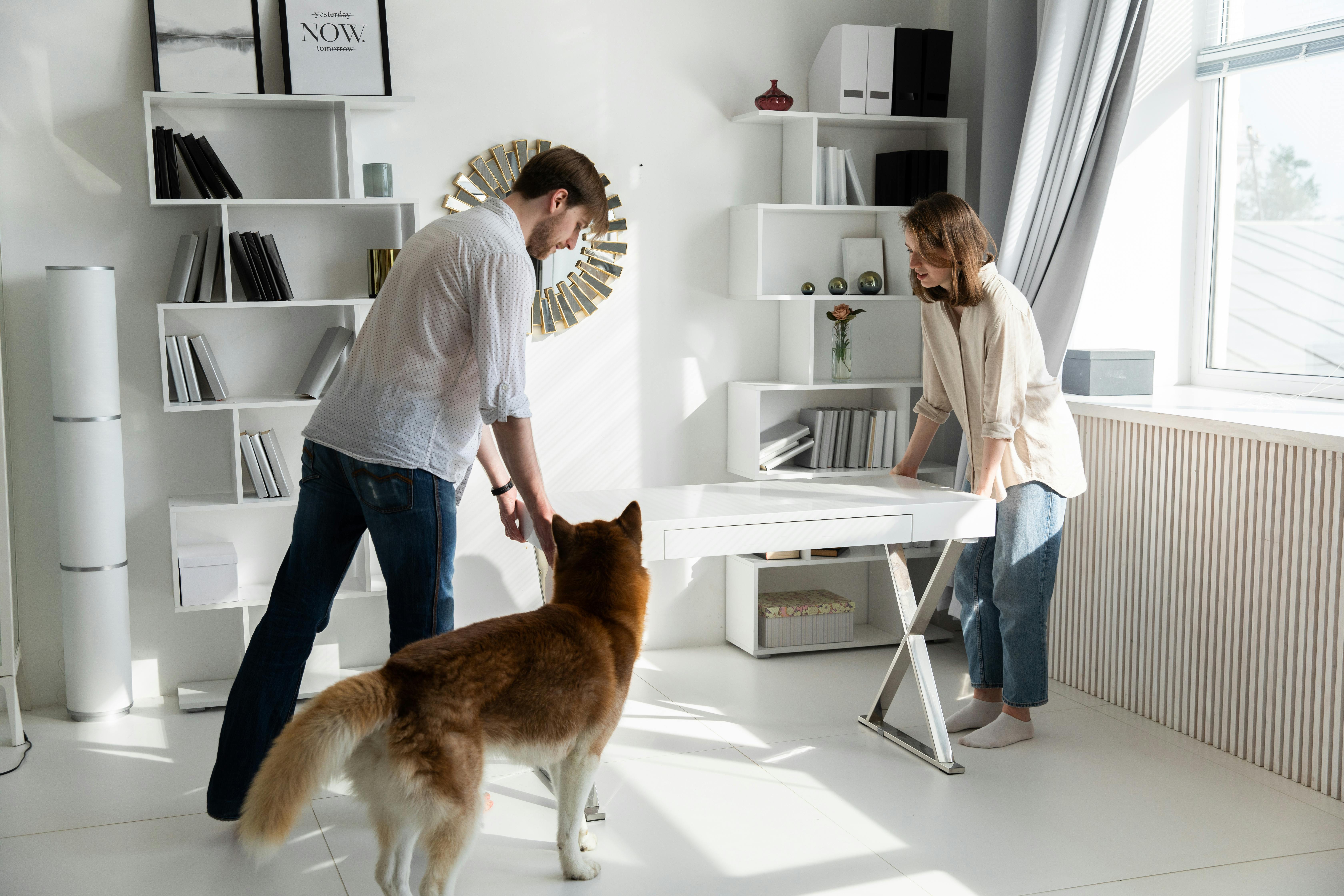 Pet-Friendly ADU Interior Design Ideas You Can Actually Use