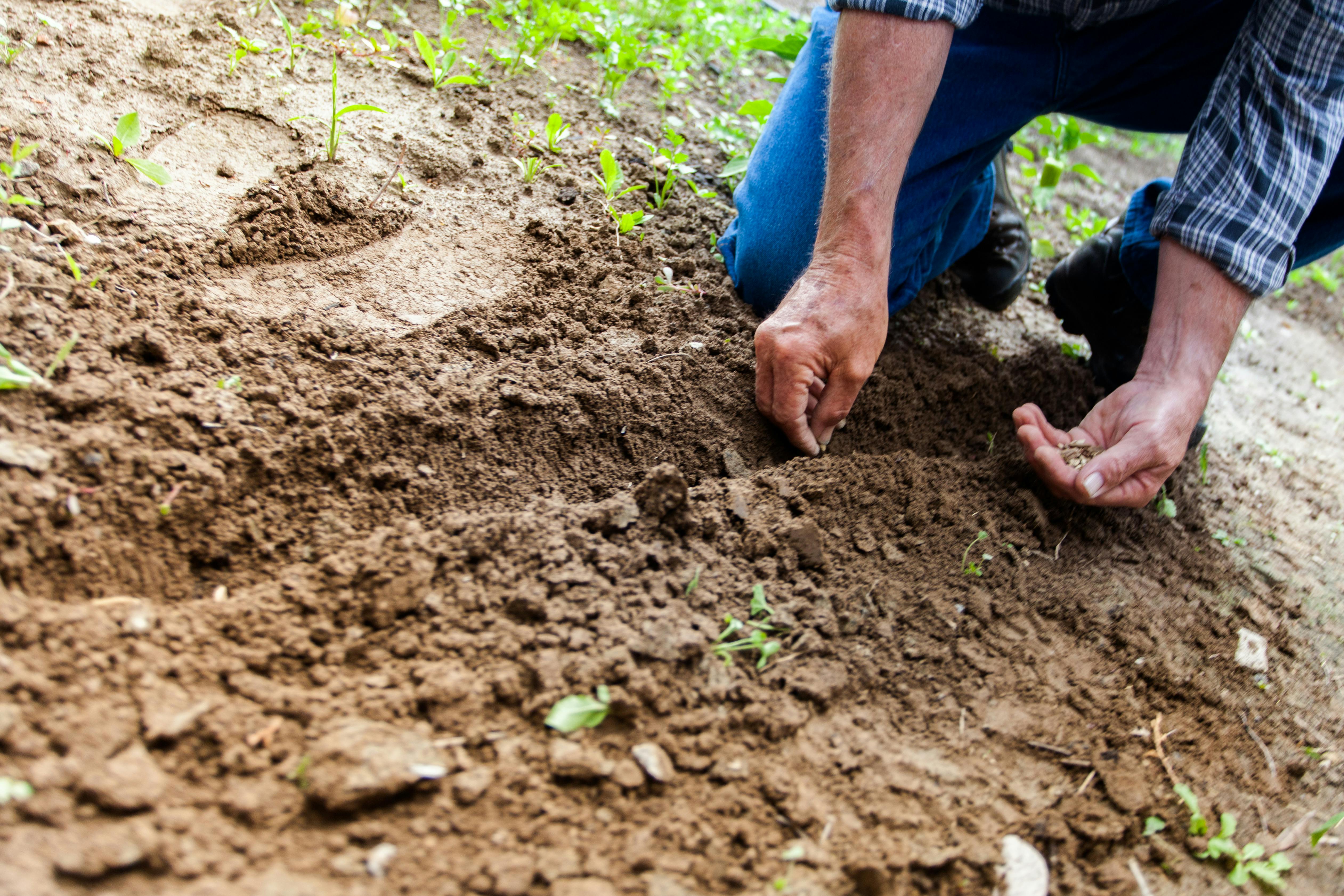 Sowing seeds for Ag innovation