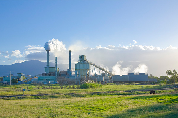 Burdekin Mills Off To Strong Start As 2026 Crush Season Begins