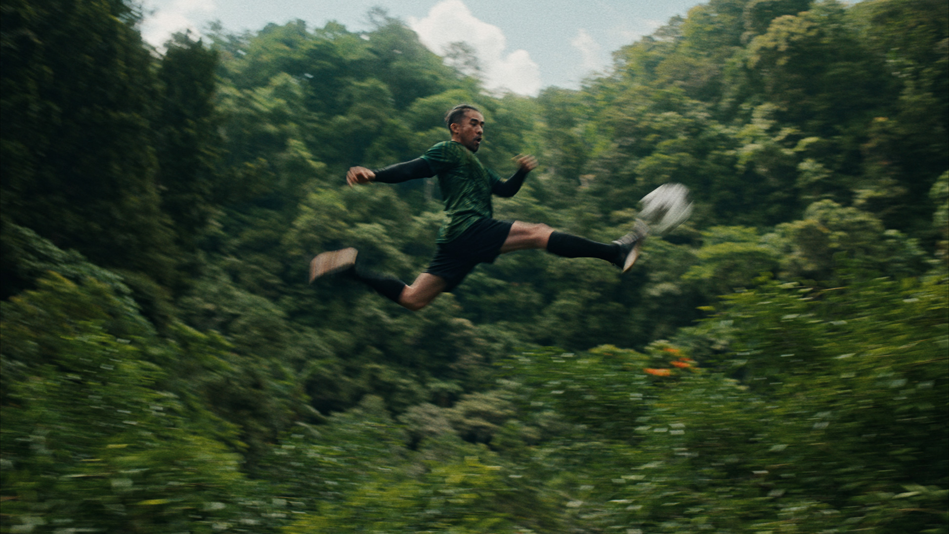New Release - Team Forest