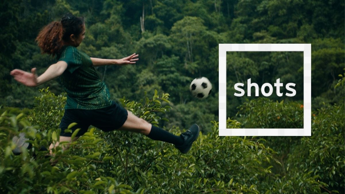 Shots Magazine Writes About Team Forest