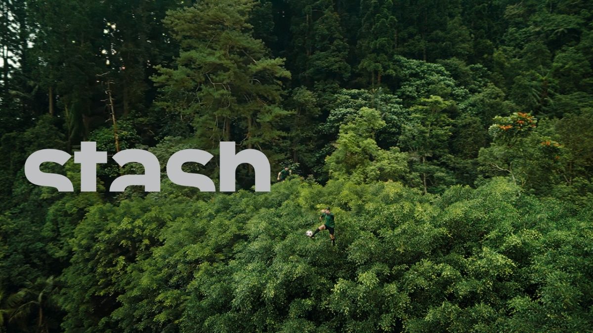 Stash Media Writes About Team Forest