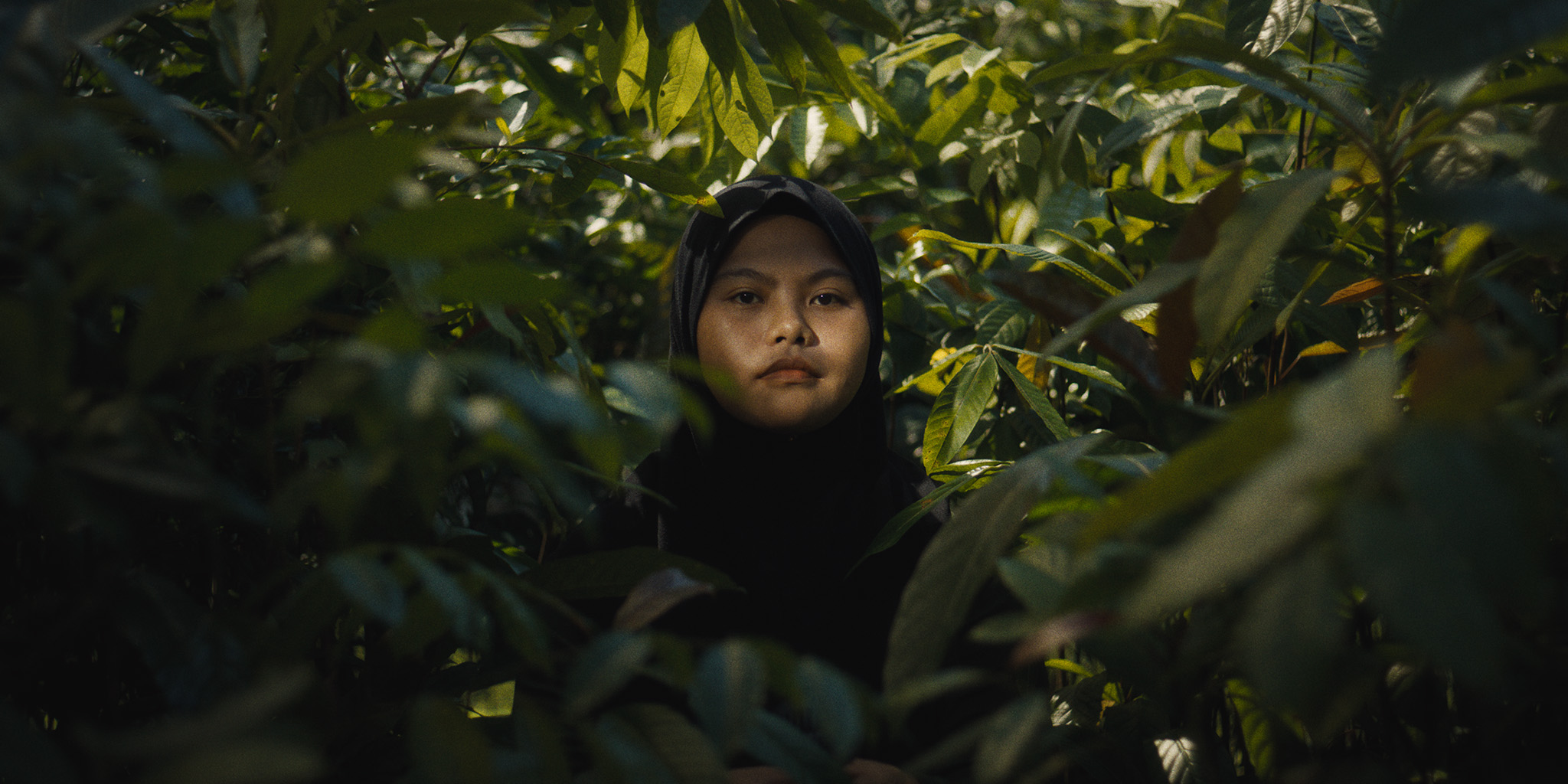 New Release - The Forest in Her Hands