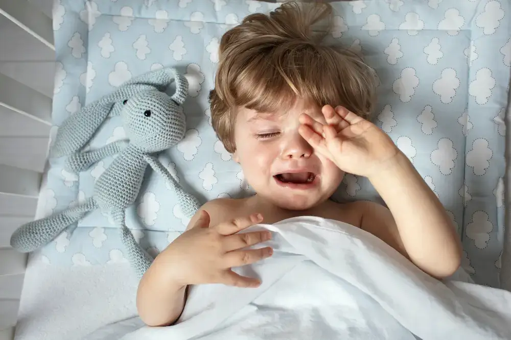 Night Terrors in Toddlers
