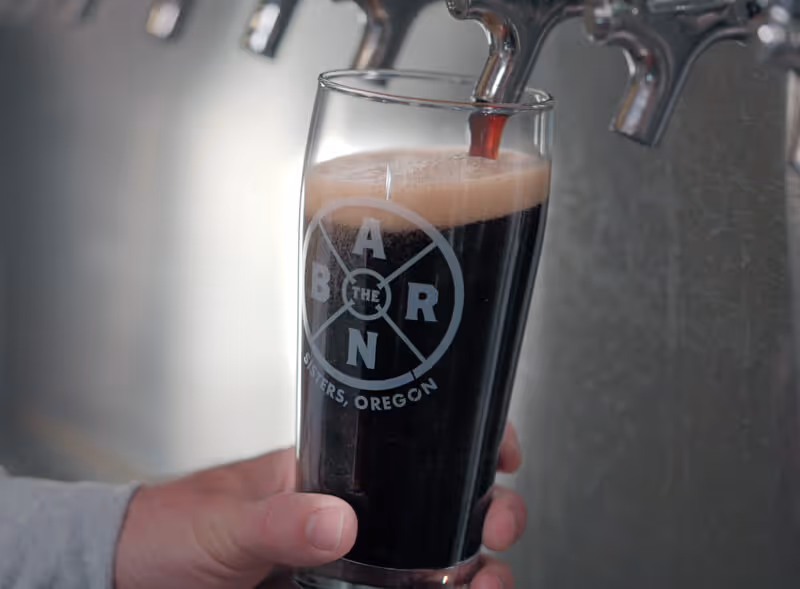 a person holding a glass of beer in their hand