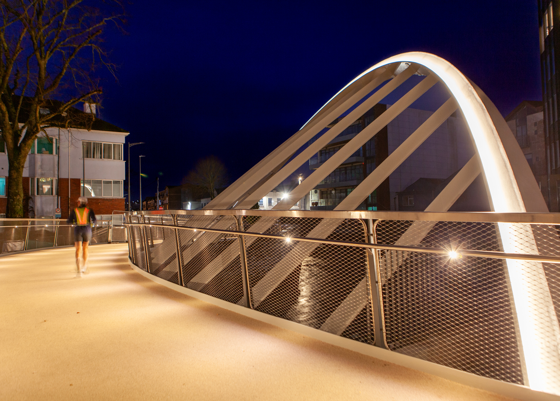 Brady Shipman Martin