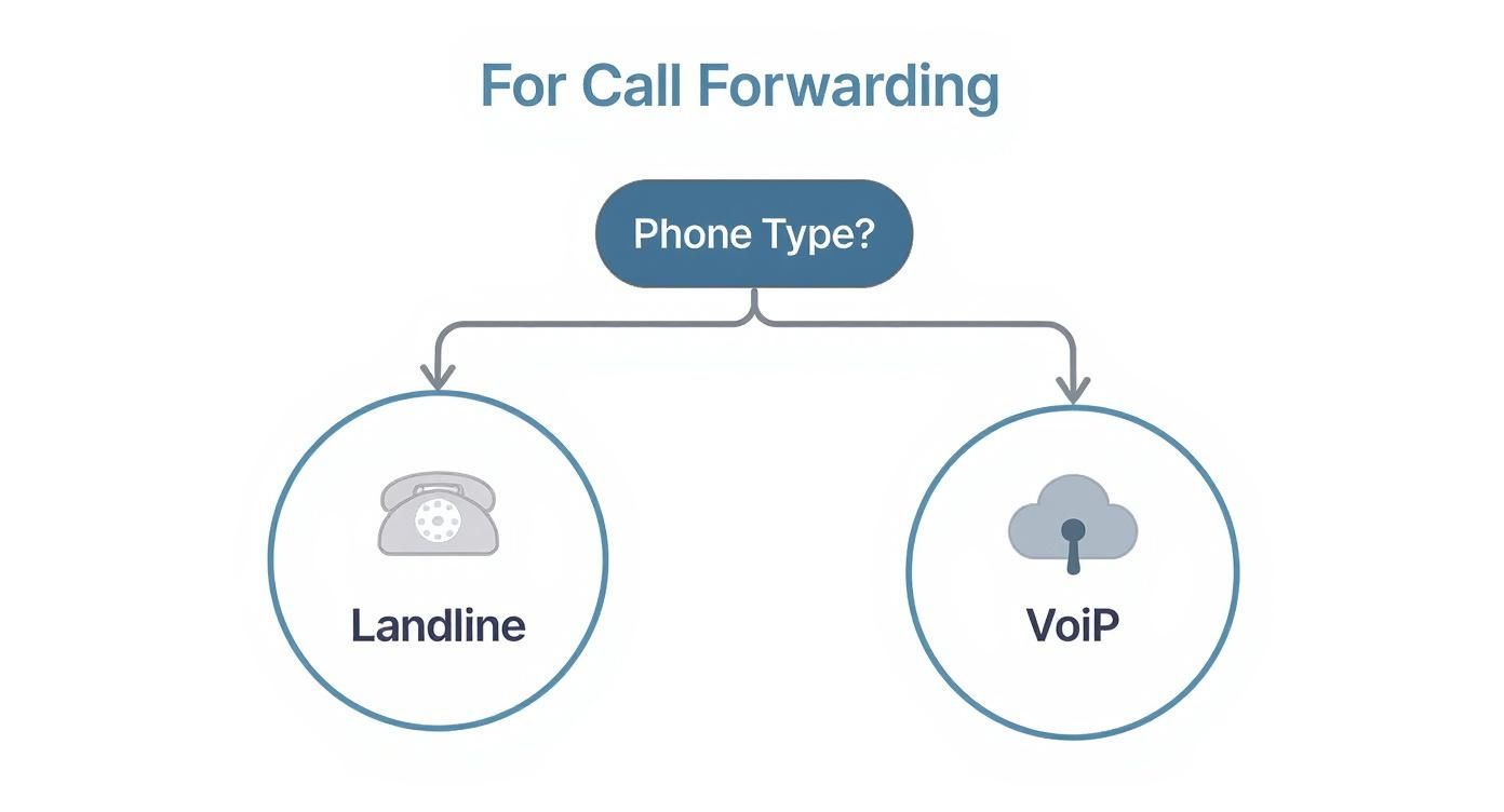 Infographic about how to forward your phone calls