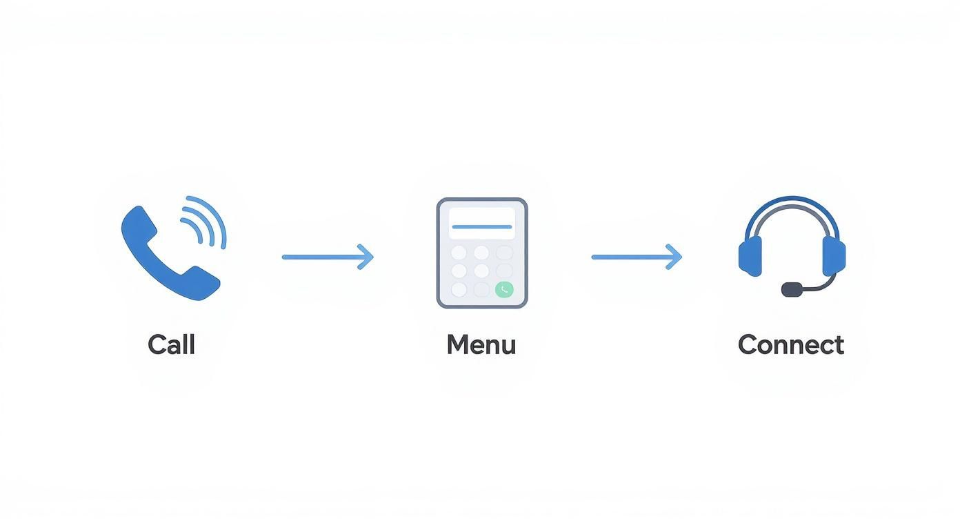 Infographic about automated phone answering system