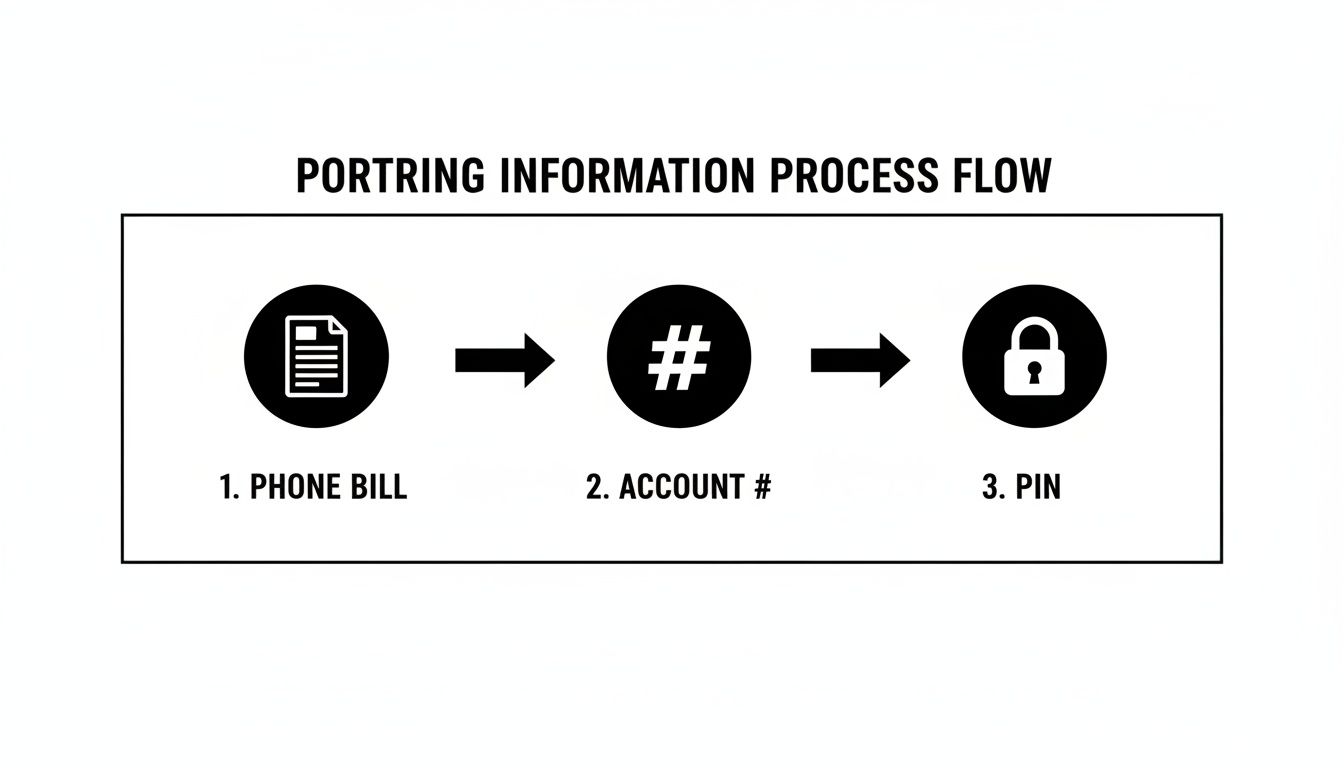 Process flow for porting information, showing phone bill, account number, and PIN as three steps.