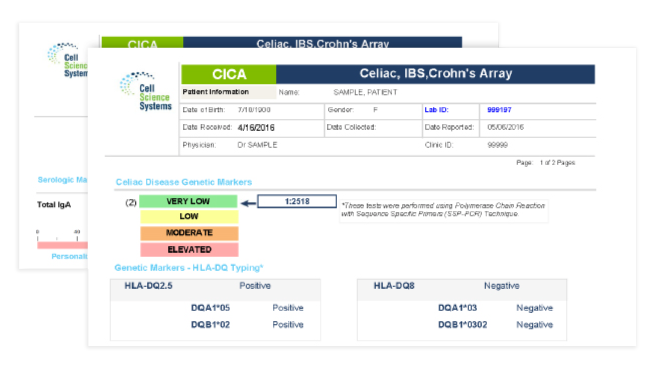 CICA Sample Report