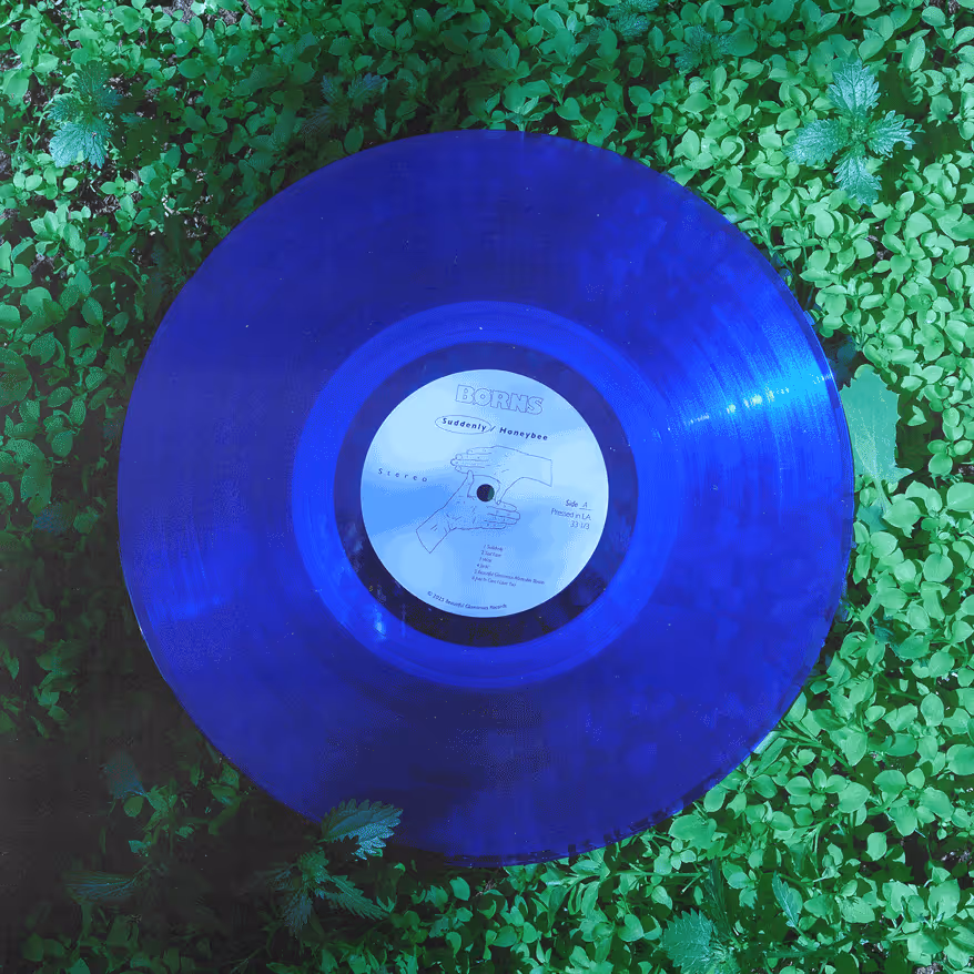 Blue Vinyl Record