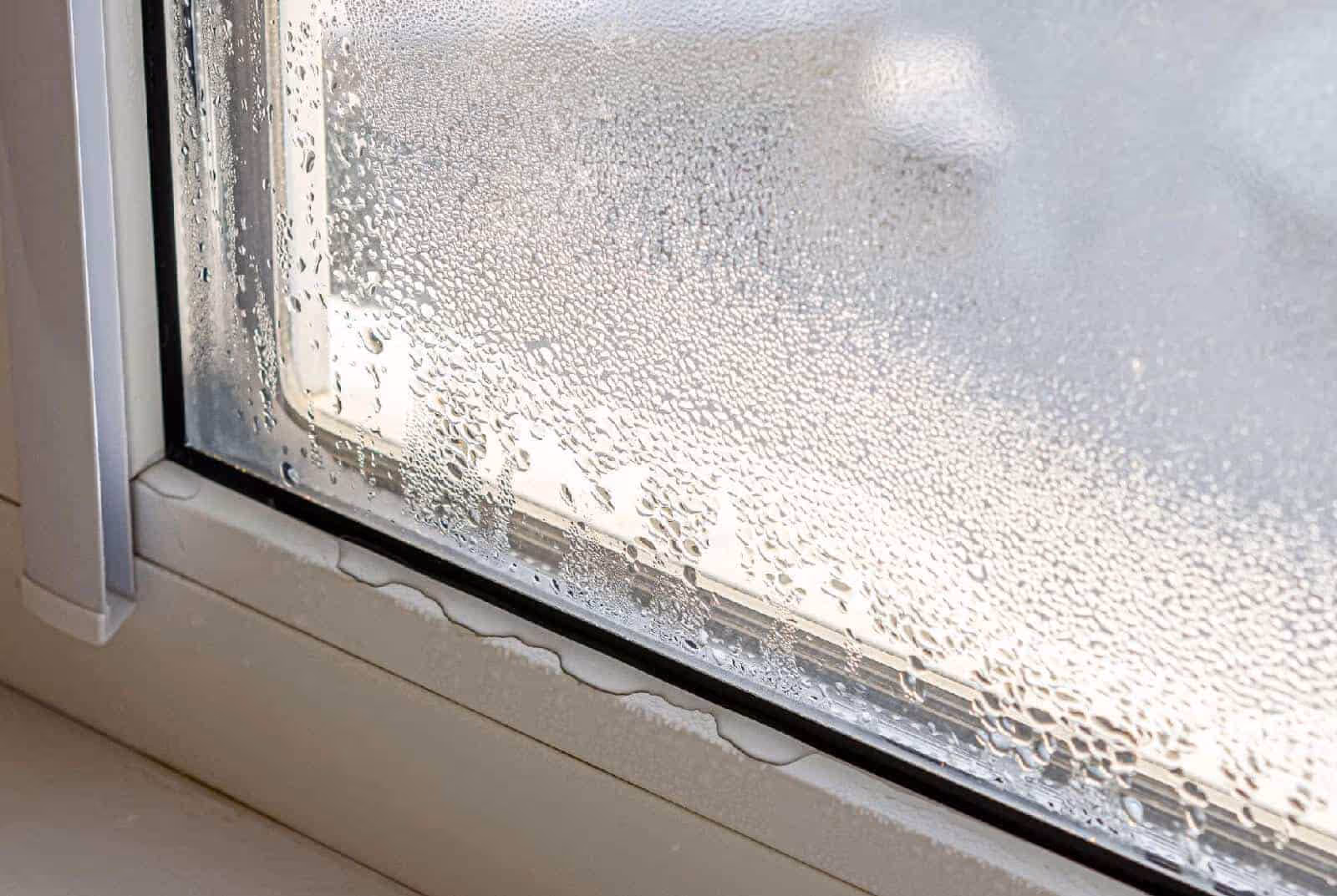 Reasons For Window Leaking - Clera Windows + Doors