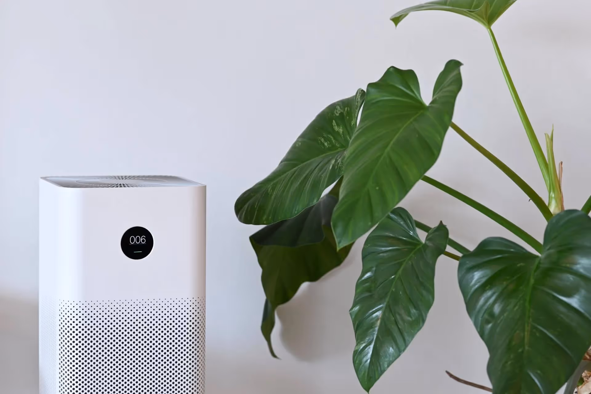 An air purifier next to a plant.