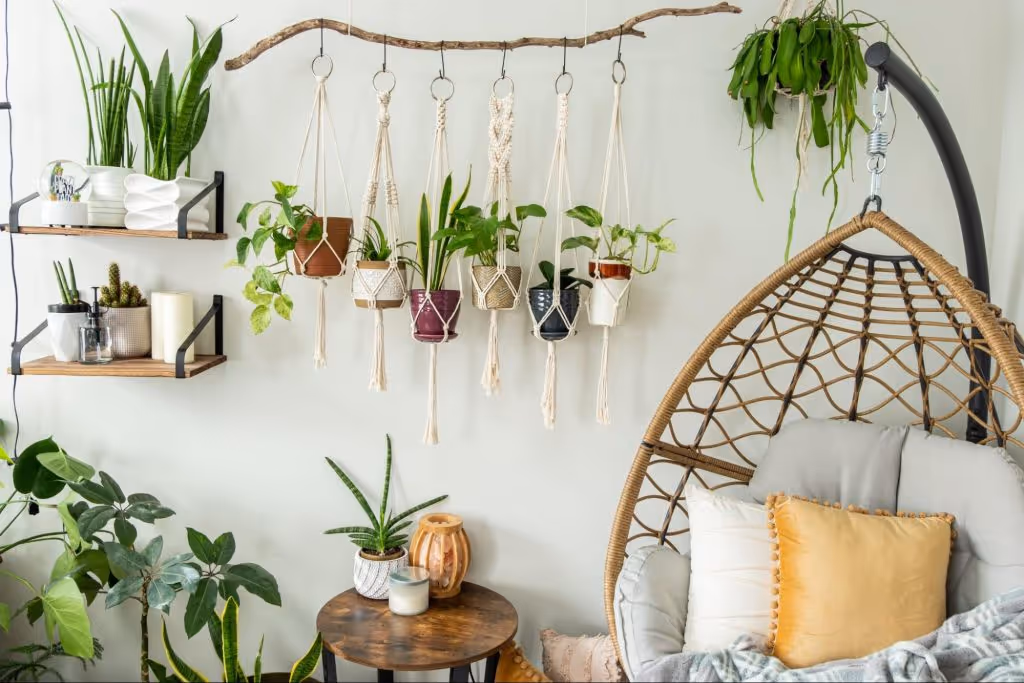 Elements Of Biophilic Design - Clera Windows + Doors