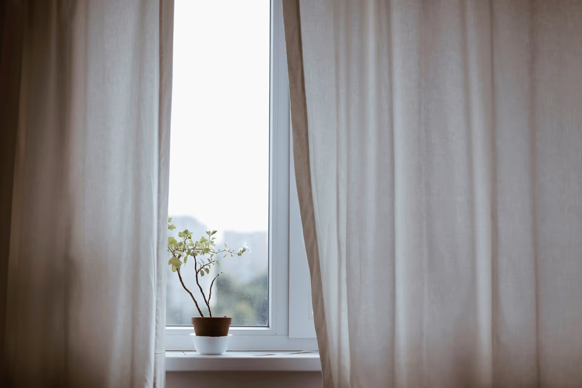 a potted plant sitting on a window sill next to drapes