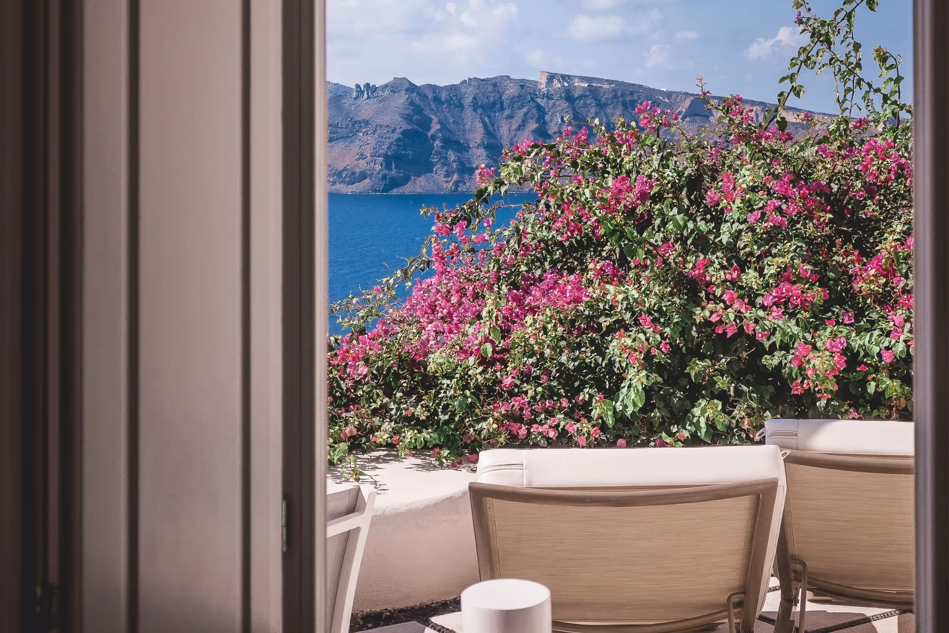 the view of pink flowers beyond a window