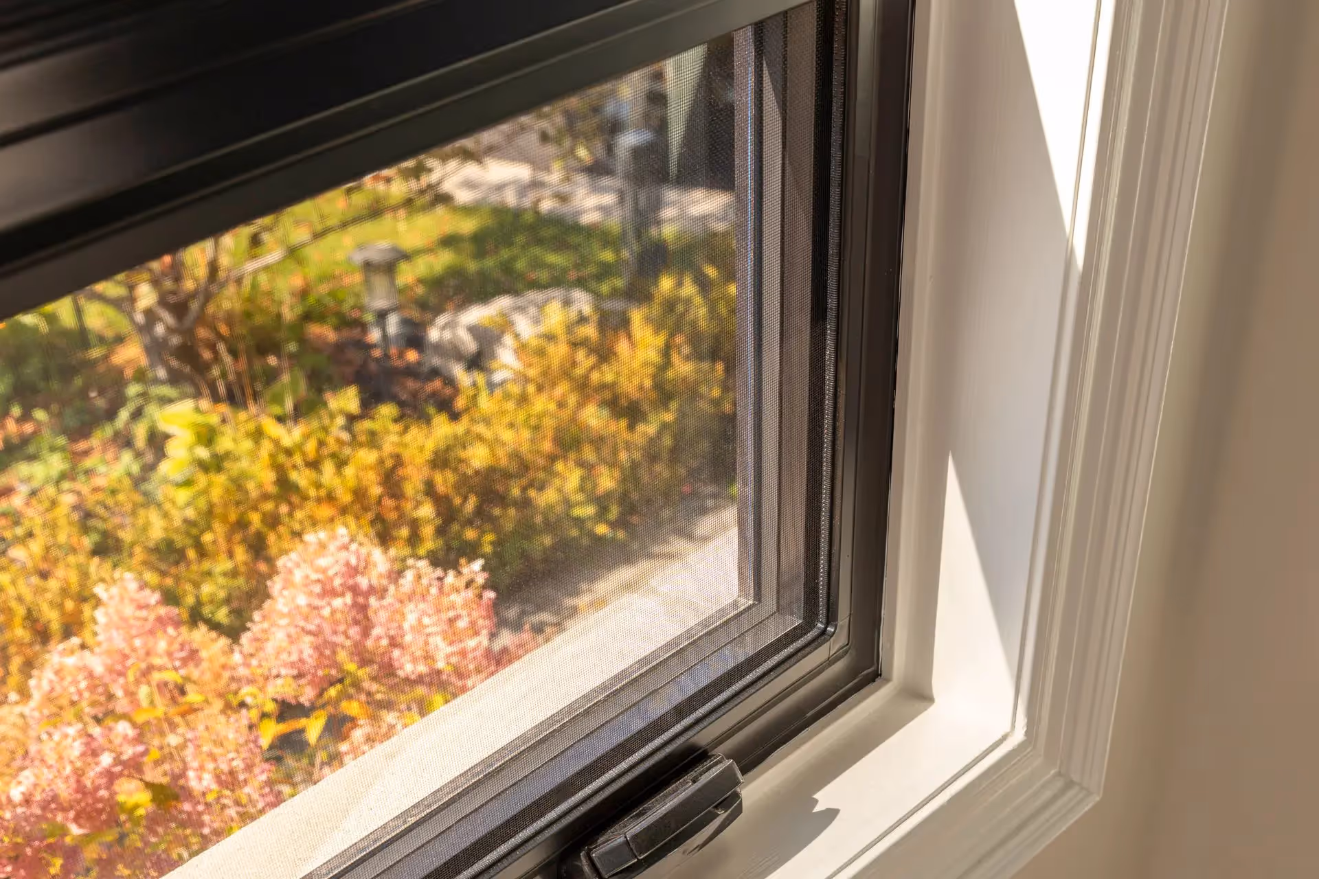 Bottom sash of a window in a house