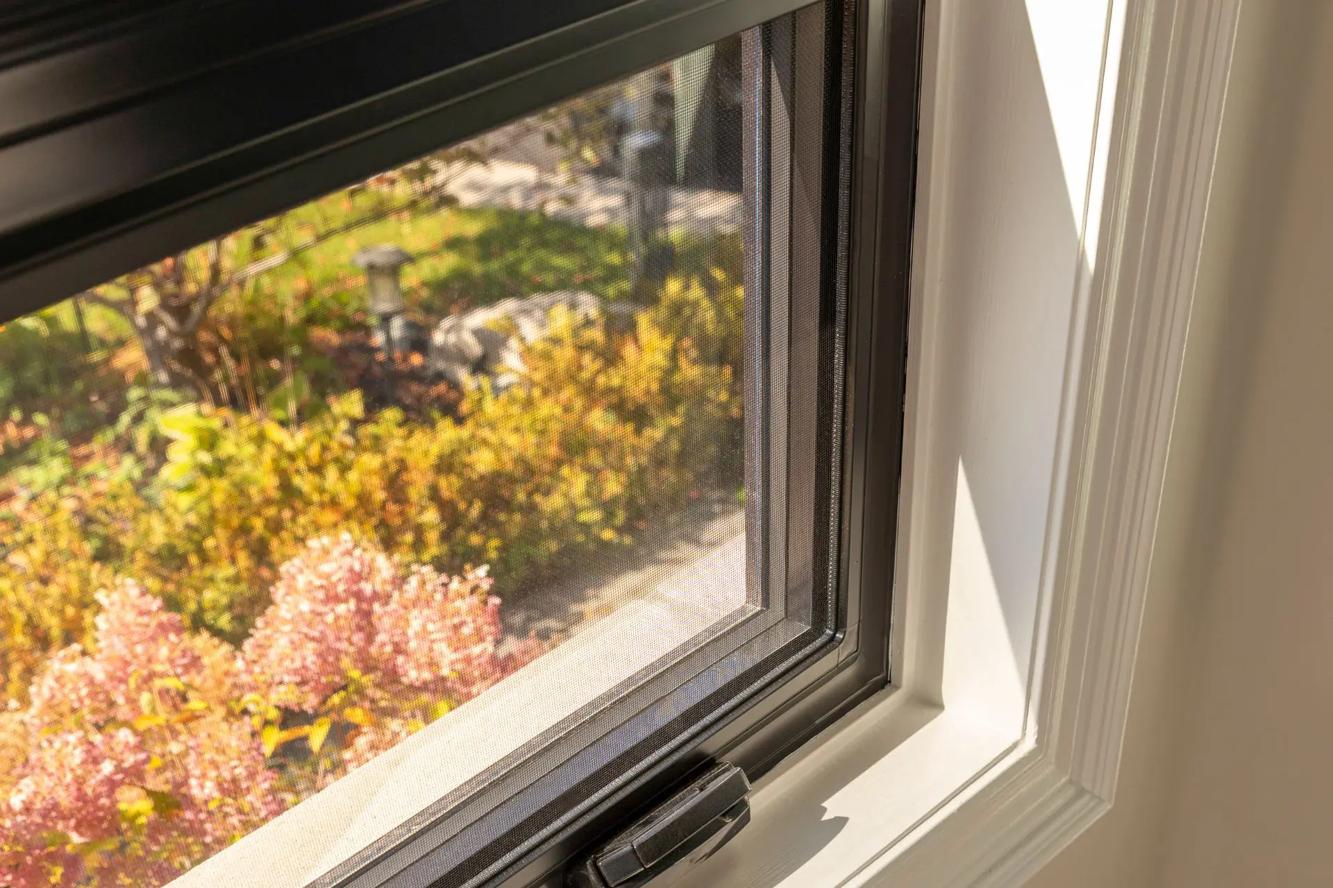 Bottom sash of a window in a house