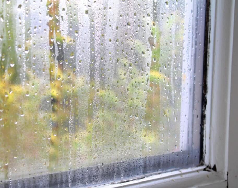 Moisture & Fog Has Seeped Between The Window’s Glass - Clera Windows + Doors