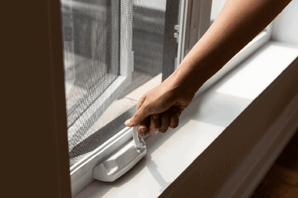 Increase Natural Lighting In Your Home - Clera Windows + Doors