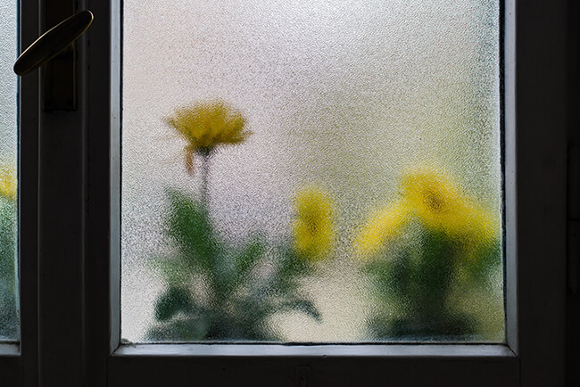 Frosted Or Translucent Glass Finish - Clera Windows + Doors