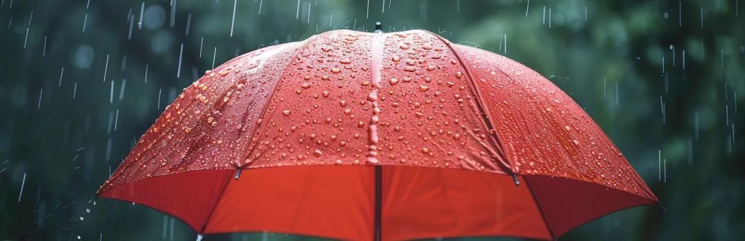 Umbrella Insurance Coverage Rules of Thumb