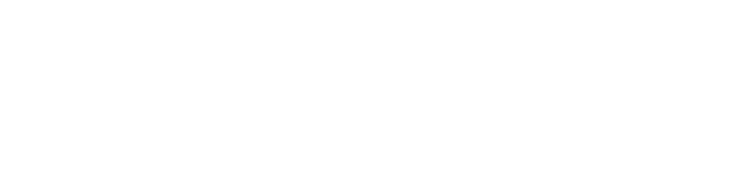 Naveo Commerce Logo