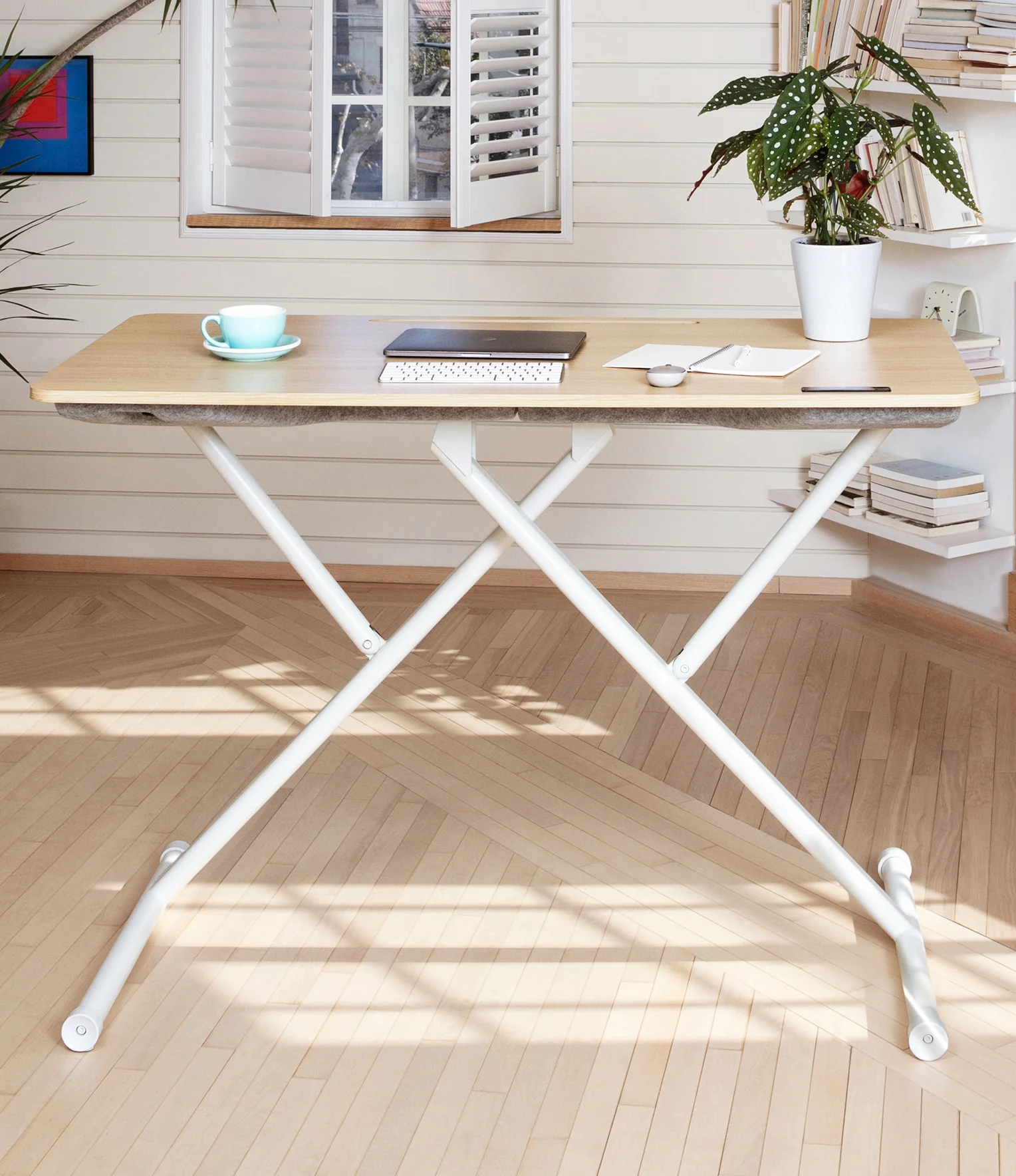 MarinaMantra Flow desk in the highest position 125cm above the floor, with a plant, laptop and coffee cup on the work surface.