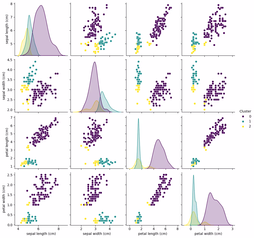 Pairplot of clustered iris dataset showing scatter plots and KDE plots.