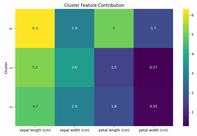 Heatmap displaying cluster feature contributions for sepal length, sepal width, petal length, and petal width.