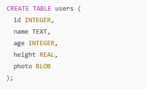 code to find the 5 primary Core SQLite Data Types