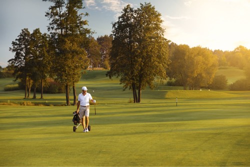Terra Golf Collection
