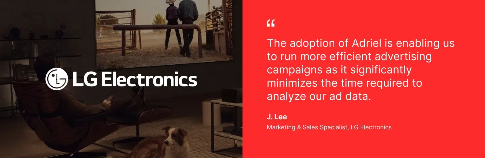 Testimonial from LG on how adopting Adriel improved their marketing data analysis - Adriel